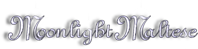 Moonlight Maltese Logo